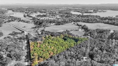 0 Eureka Rd unit 21437192, Lincoln, AL 35096 - photo 6