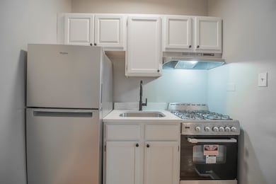 1414 W Pratt Blvd unit 410, Chicago, IL 60626 - photo 4