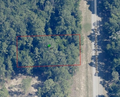 1471 E Citrus Springs Blvd, Citrus Springs, FL 34434 - photo 4