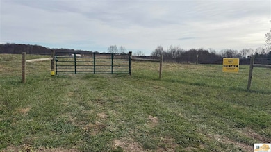 3720 Highway 566, Magnolia, KY 42757 - photo 3