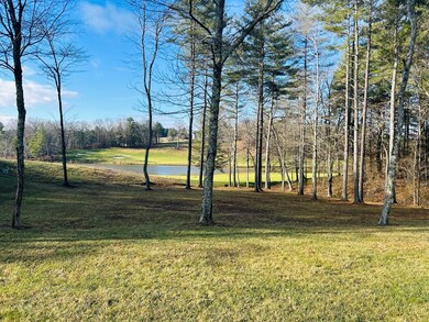 TBD Manor House Dr, Laurel Fork, VA 24352 - photo 7