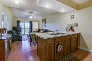 Kitchen to Living