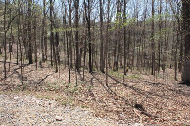 16331SkinnerHockingHills