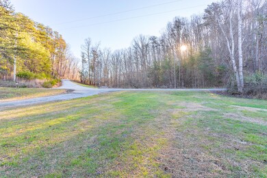 1580 Dripping Springs Rd, La Fayette, GA 30728 - photo 5