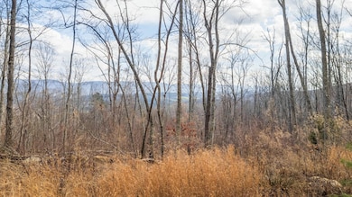 0 Lee Station Mountain Rd, Pikeville, TN 37367 - photo 4