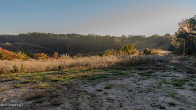 0 Mississippi 440, West, MS 39192 - photo 7