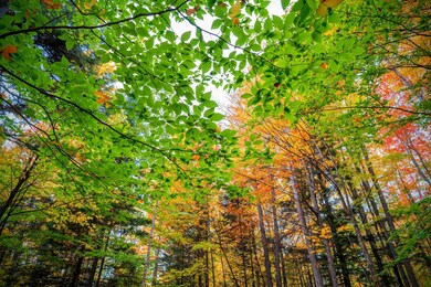 5 Imp Trail, Gorham, NH 03581 - photo 2