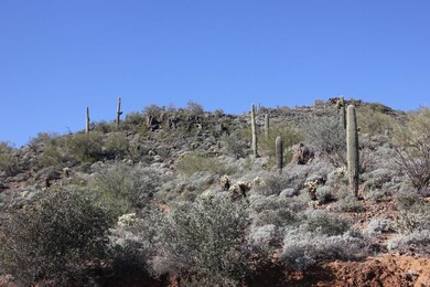 looking west onto state trust land