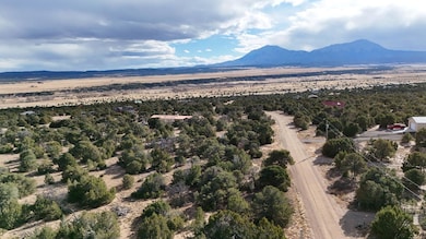 0 Lot 147 Navajo Ranch Estates, Walsenburg, CO 81089 - photo 2