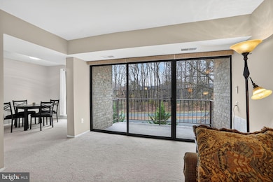 2063 Royal Fern Ct unit 39/21B, Reston, VA 20191 - photo 4