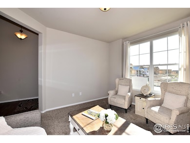 2447 Dandelion Ln, Johnstown, CO 80534 - photo 6