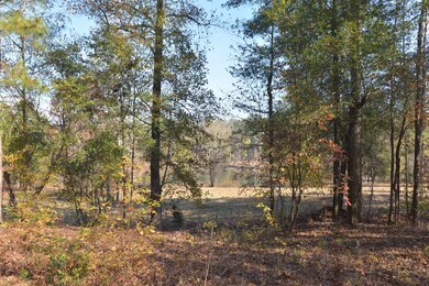 1080 Waterstone Dr, Madison, GA 30650 - photo 4