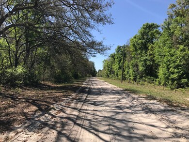 141 Indian Trail, Florahome, FL 32140 - photo 3