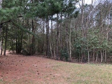 Lot 41 (6)