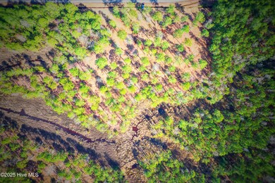 203 Paradox Point Drive, Aurora, NC