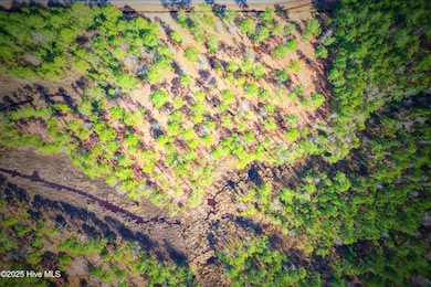 203 Paradox Point Dr, Aurora, NC 27806 - photo 7