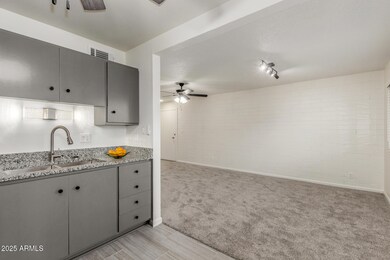 Kitchen View (3)