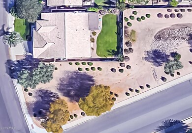 Birds Eye View