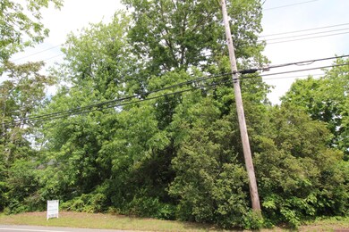 221 Magnolia Ave, Toms River, NJ 08757 - photo 3