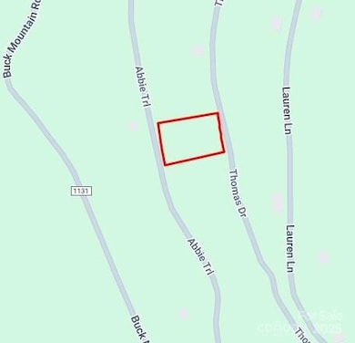 0000 Abbie Trail, West Jefferson, NC 28694 - photo 3