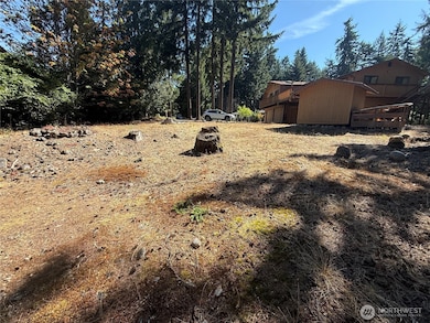 18313 Lofty Ct SE, Yelm, WA 98597 - photo 3