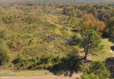 Screenshot 2025-11-05 202511