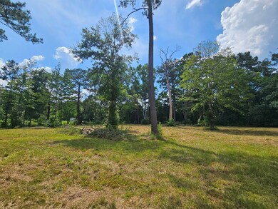 14 Jolly Roger Point, Carriere, MS 39426 - photo 6