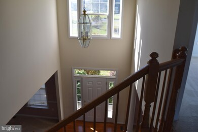 165 Savannah Dr, Strasburg, VA 22657 - photo 7