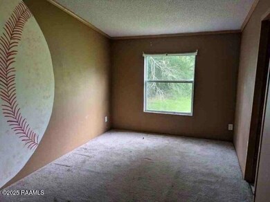 9384 Highway 182, Franklin, LA 70538 - photo 7