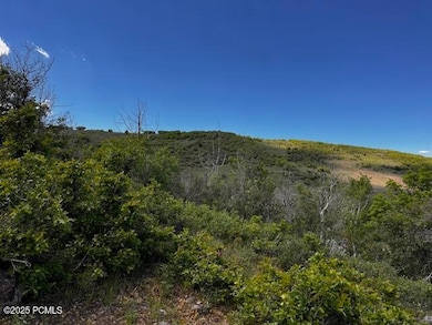 5012 S Sheep Dog Trail unit 22, Woodland, UT 84036 - photo 2