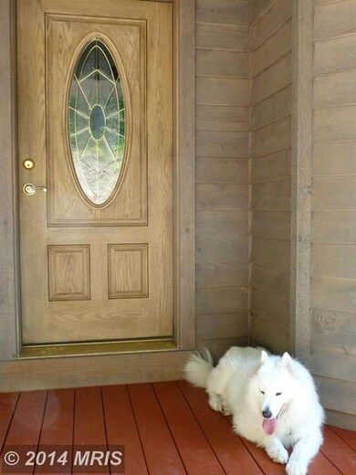 3904 Preserve Rd, Maysville, WV 26833 - photo 4