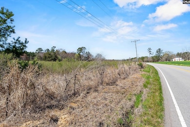 0 Amicks Ferry Rd, Chapin, SC 29036 - photo 4