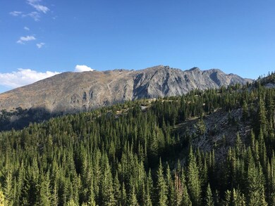 IMG_4071