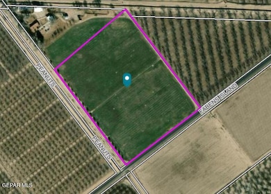 PN-25708 Island Rd, Fabens, TX 79838 - photo 6