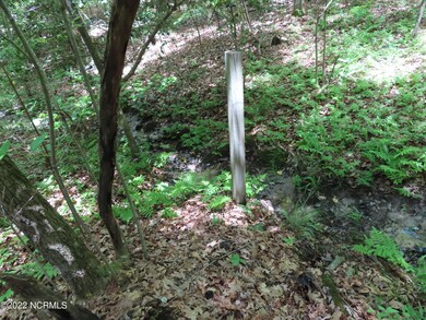 0 Mt Lebanon unit 100339333, Troy, NC 27371 - photo 3