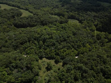 DJI_0444