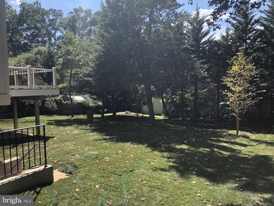 517 Meridian St, Falls Church, VA 22046 - photo 5