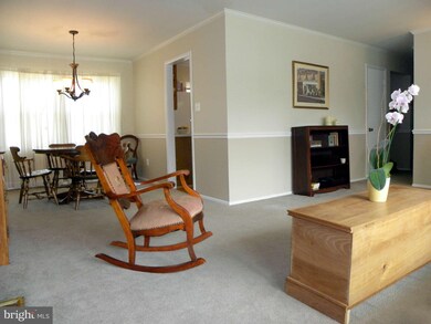 2225 Primrose Dr, Falls Church, VA 22046 - photo 4