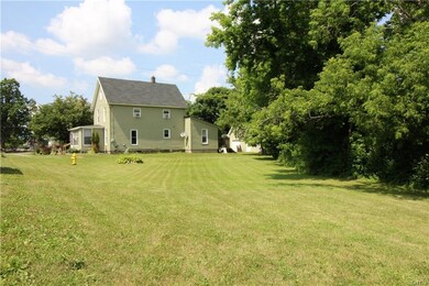 Exterior and side yard