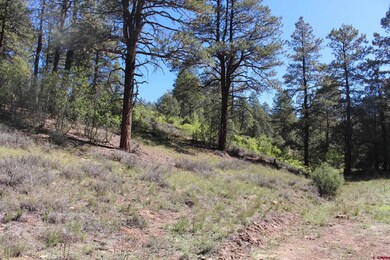 290 Wits End Place, Pagosa Springs, CO 81147 - photo 4