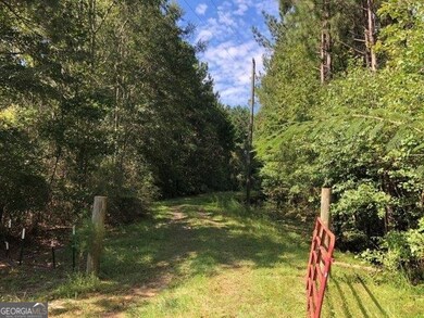 0 Old MacOn Rd unit 20156110, Dublin, GA 31021 - photo 4