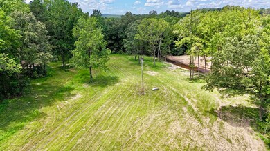 42.83 acres Rose Trail, Melbourne, AR 72556 - photo 4