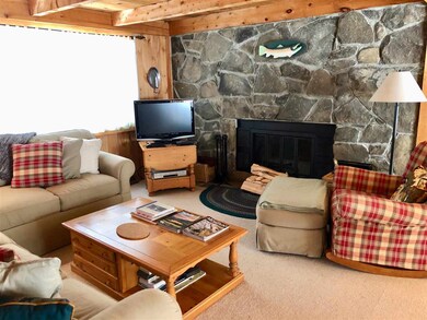 116 Forest Mountain Rd, Peru, VT 05152 - photo 5