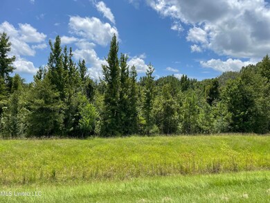 0 Canton Pkwy unit 4083990, Canton, MS 39046 - photo 5