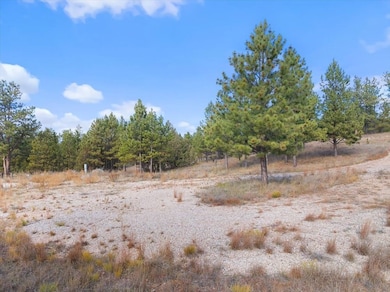 26867 Stage unit Road, Hot Springs, SD 57747 - photo 6