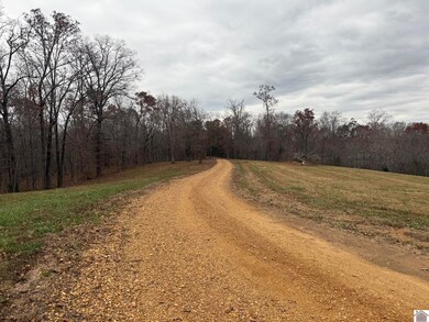 250 Cindy Dr, Murray, KY 42071 - photo 4