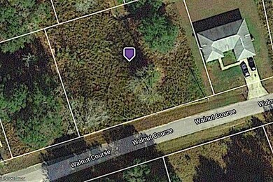 0 Walnut Course unit OM600185, Ocala, FL 34480 - photo 4