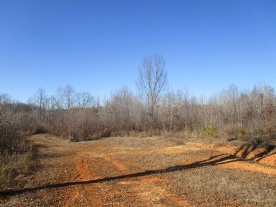 659 Old Mansion Rd, Lunenburg Court House, VA 23952 - photo 6