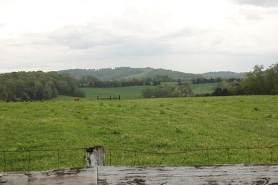 1949 Jackson Rd, Rutledge, TN 37861 - photo 6