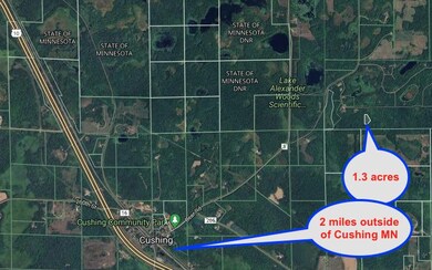 tbd Pebble Pass, Cushing Township, MN 56443 - photo 2